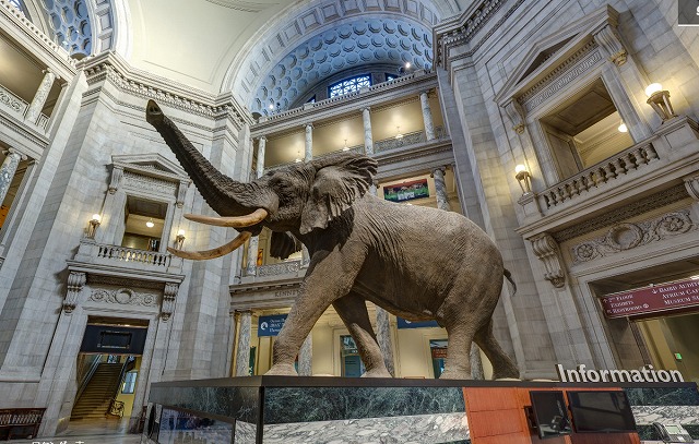 スミソニアン博物館 デジタル バーチャル体験とダウンロード方法 34の美術館作品フリー素材無料ダウンロード一覧 最新22